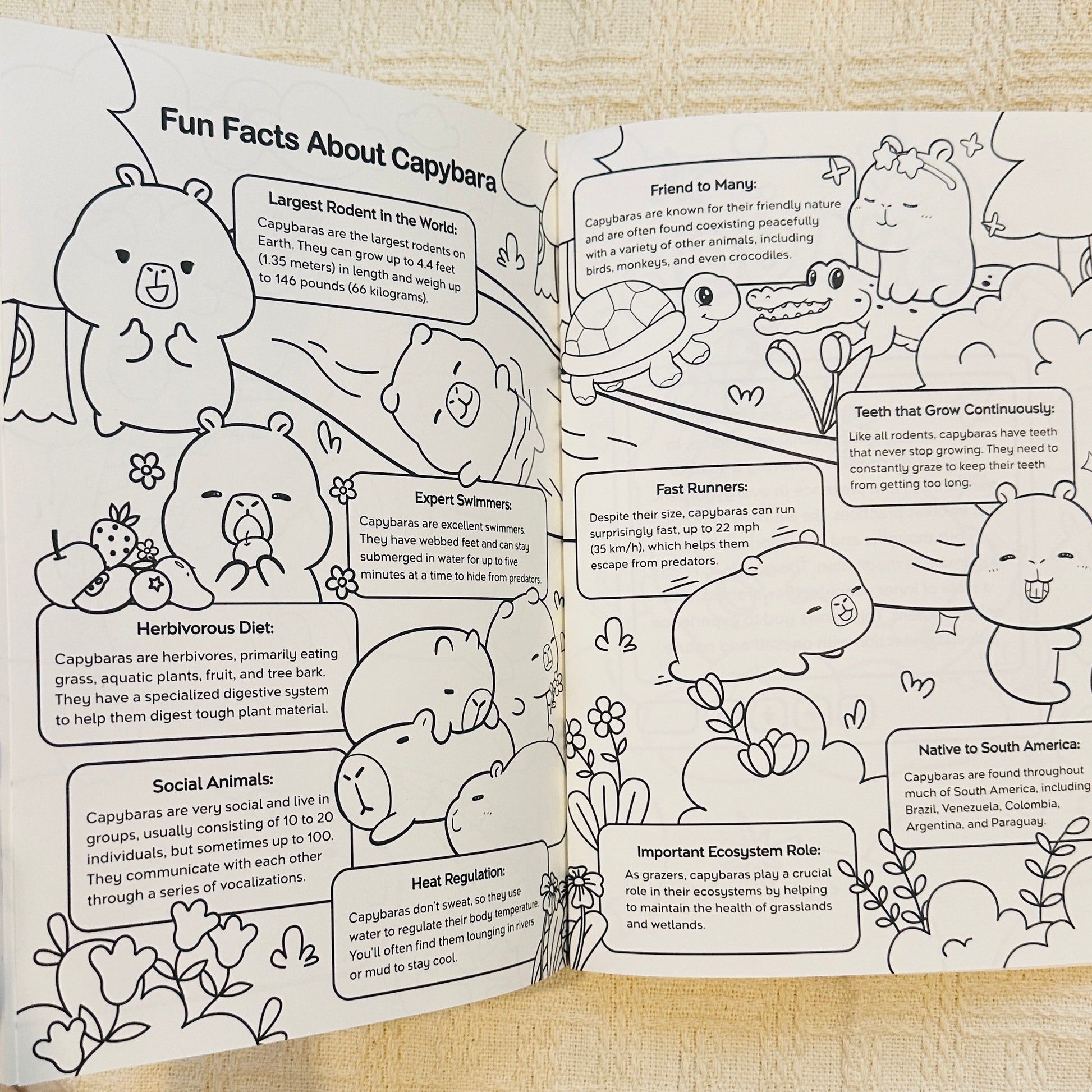 SIGNED EDITION: Capybara Zen: A Story and Coloring Book