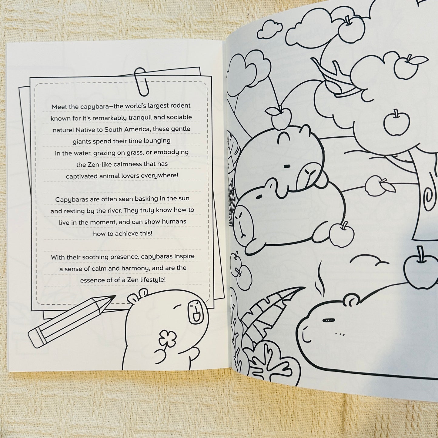 Capybara Zen: A Story and Coloring Book