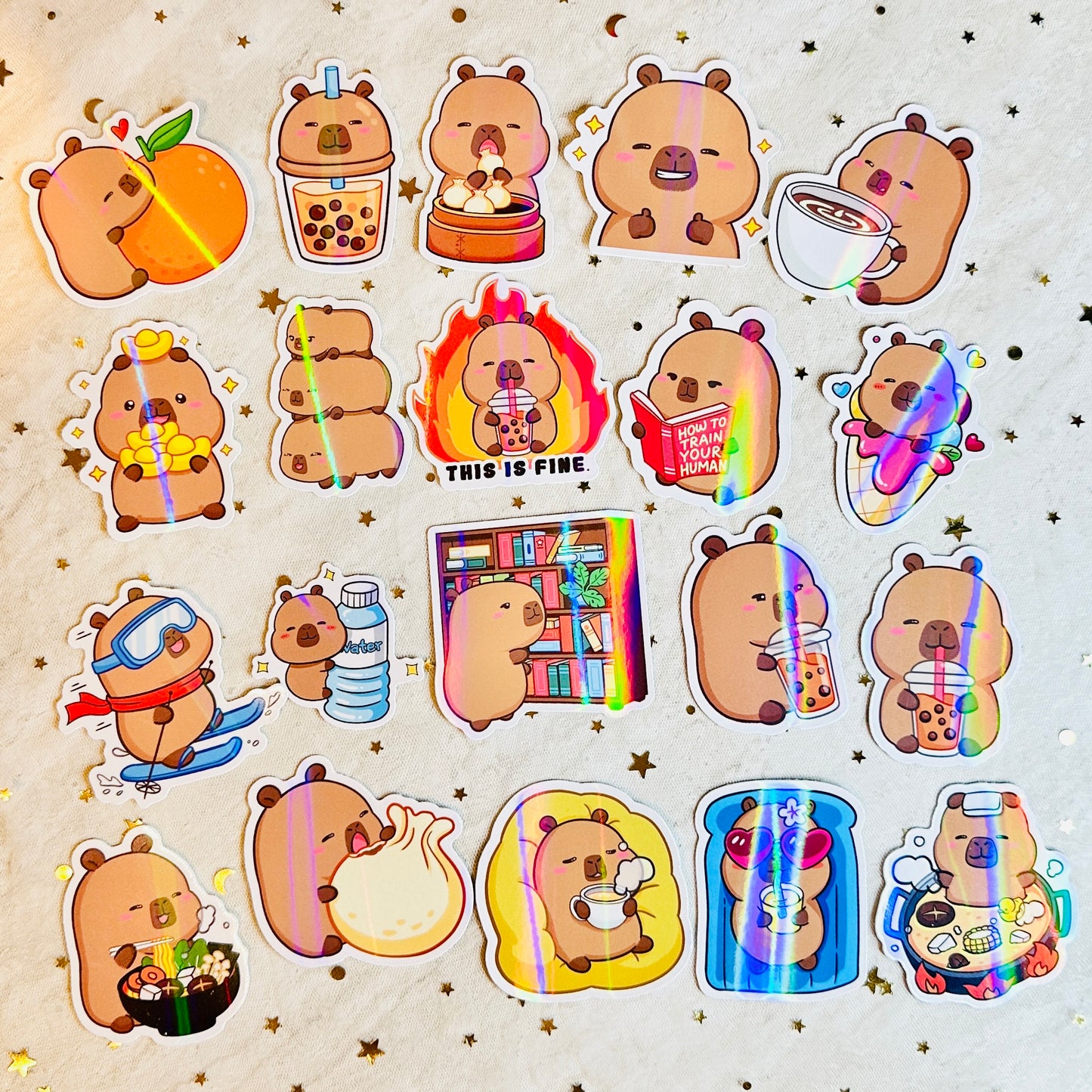 Capybara Holographic Vinyl Stickers Set Various Designs Animal Lover Cute Kawaii Decor