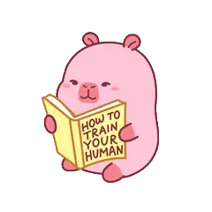 Animated capybara GIF: Cali reading