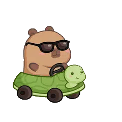 Animated capybara GIF: Capy turtle car