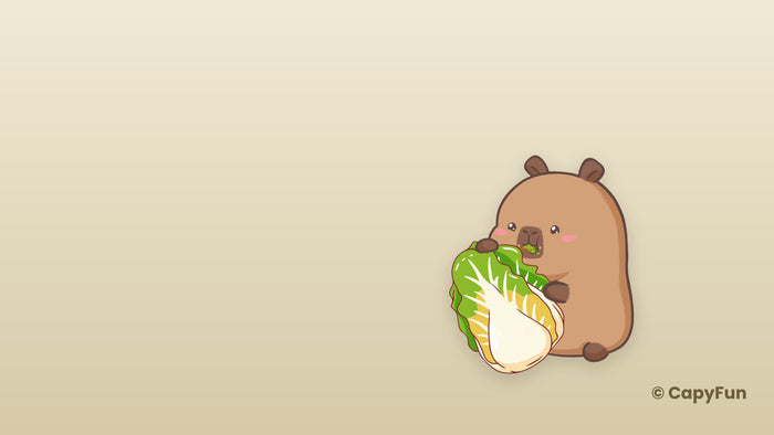 Capybara desktop wallpaper: Capy with a cabbage on khaki